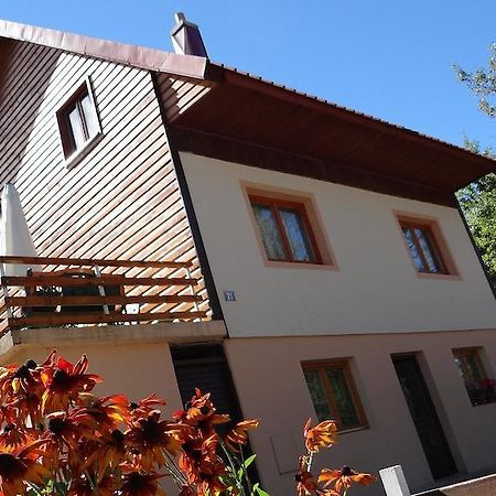 Guest House Milena 자블야크 외부 사진